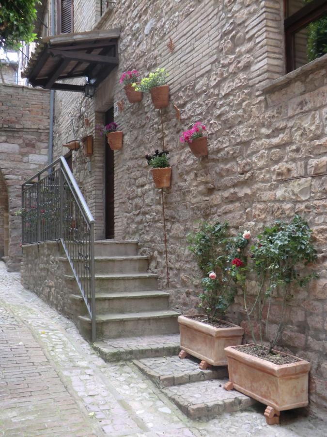 La Corta Di Spello Camere Екстериор снимка