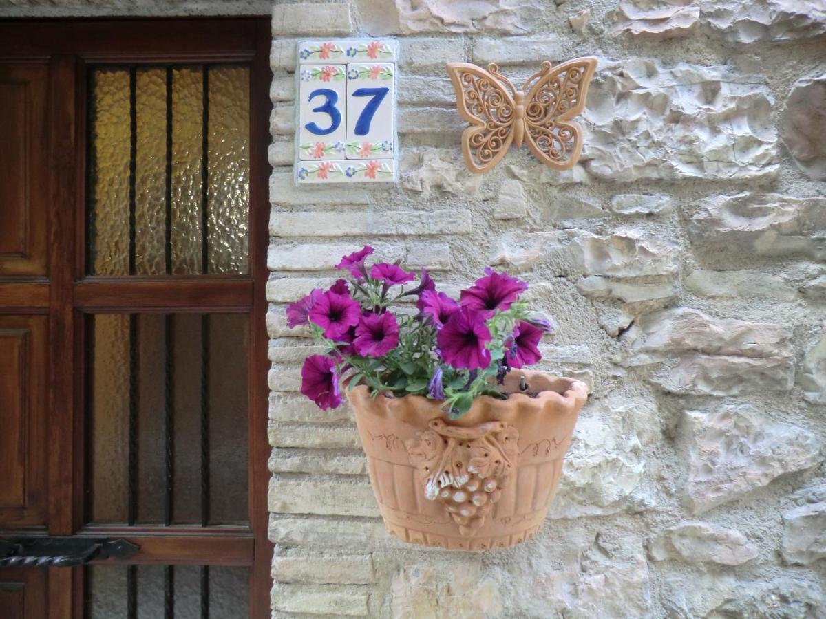 La Corta Di Spello Camere Екстериор снимка