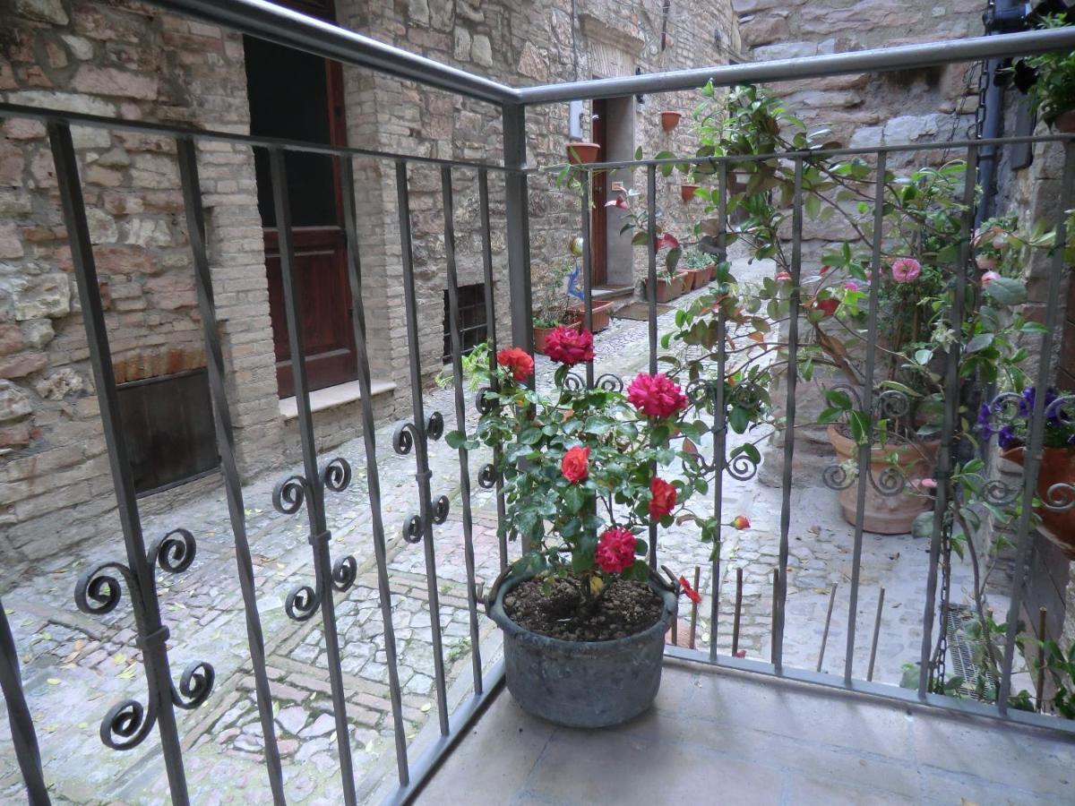 La Corta Di Spello Camere Екстериор снимка