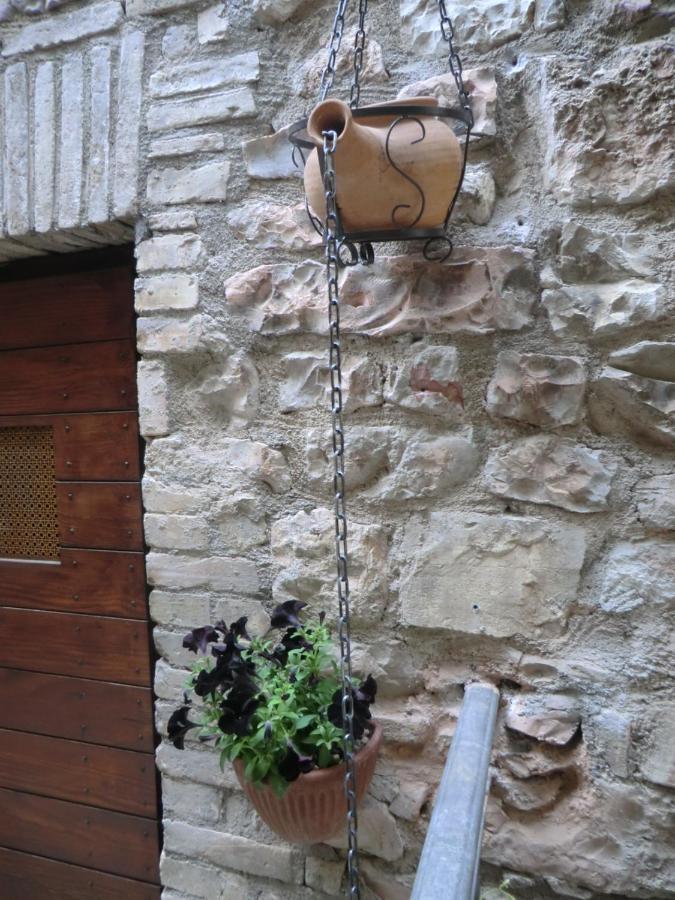 La Corta Di Spello Camere Екстериор снимка