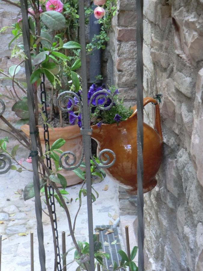 La Corta Di Spello Camere Екстериор снимка
